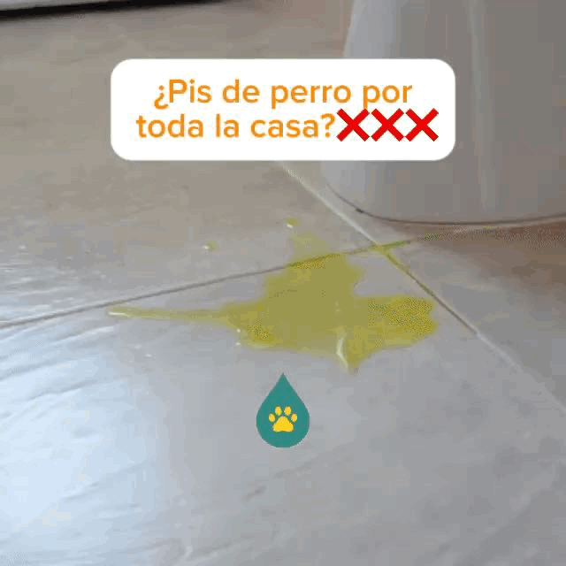 ByePee® — Convertí el charco en gel y barré 2X1