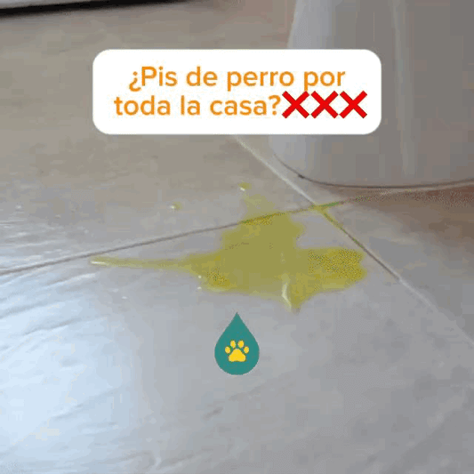 ByePee® — Convertí el charco en gel y barré 2X1